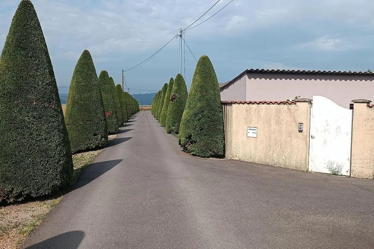 Charmante Maison Avec Piscine Anneyron